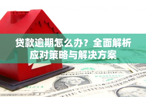 中西贷款逾期怎么办？全面解析应对策略与解决方案