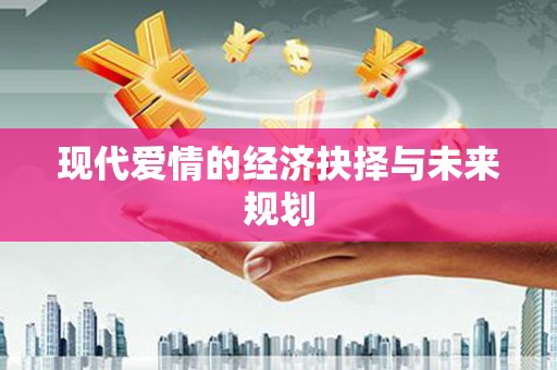 永新现代爱情的经济抉择与未来规划