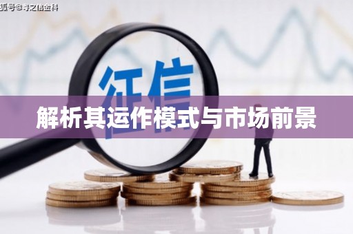 大内解析其运作模式与市场前景