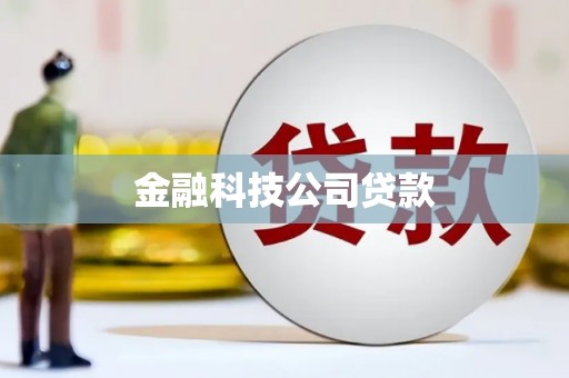 天宁金融科技公司贷款