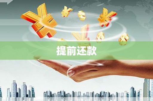 嘉模堂区提前还款