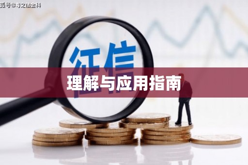 芒市理解与应用指南