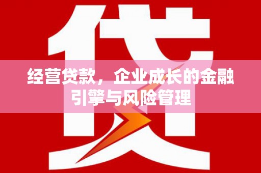 盈江经营贷款，企业成长的金融引擎与风险管理