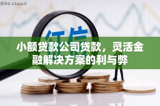 沁源小额贷款公司贷款，灵活金融解决方案的利与弊